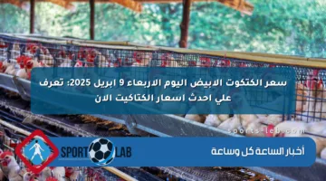 سعر الكتكوت الأبيض اليوم الأربعاء 9 أبريل 2025: تعرف على أحدث أسعار الكتاكيت الآن